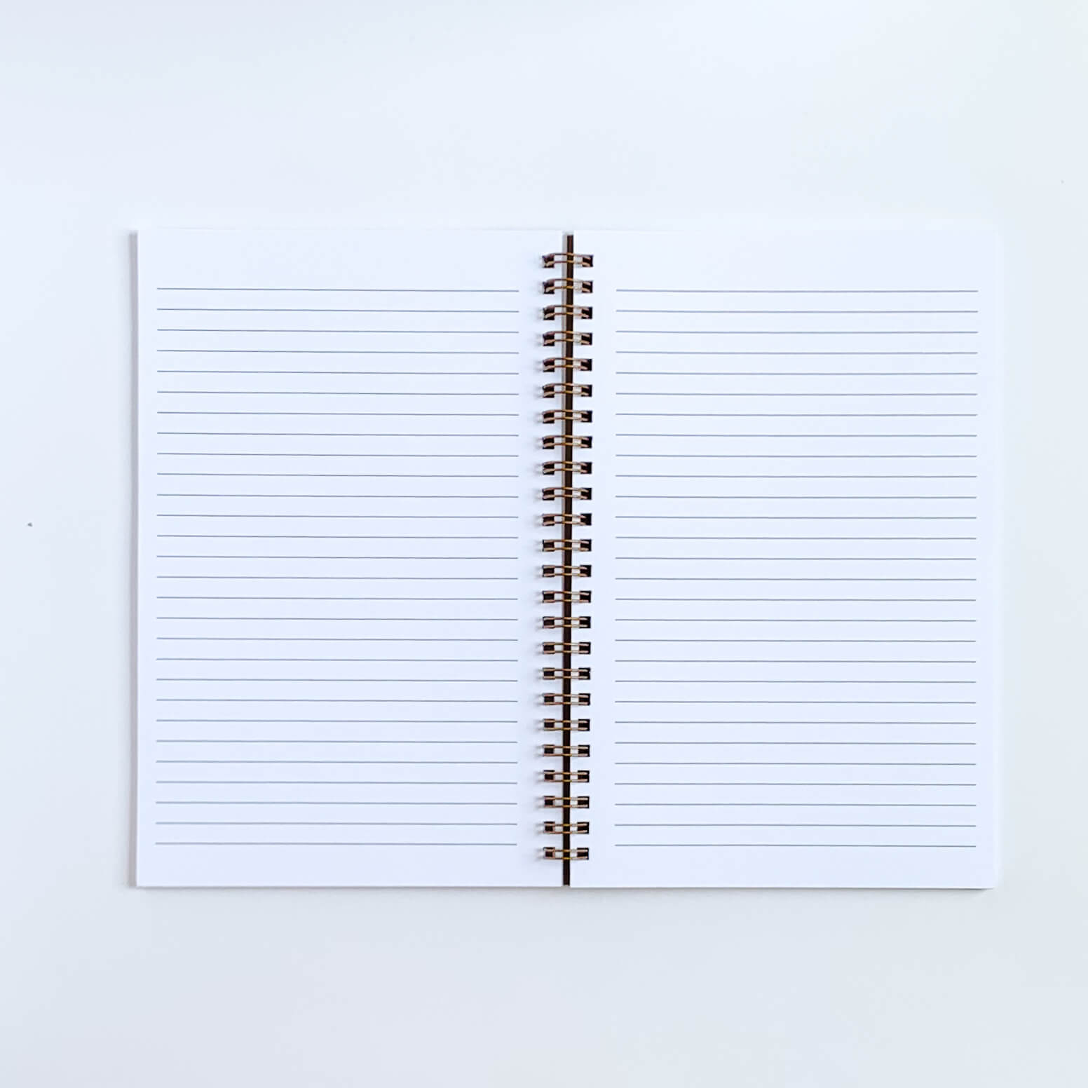 Image of notebook laying open and flat showing the college ruled lined option