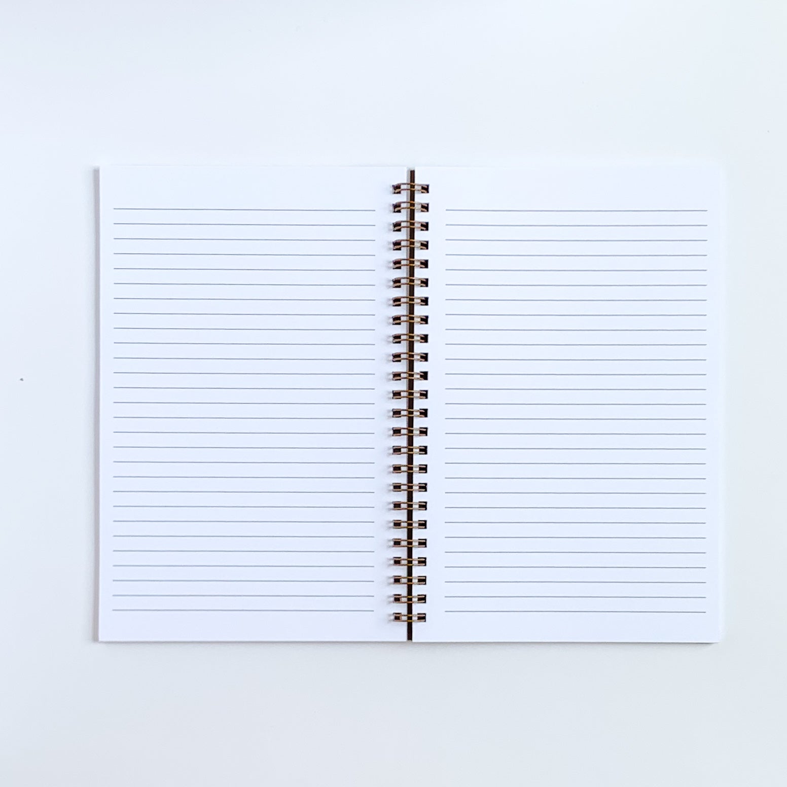 Image of notebook laying open and flat showing the college ruled lined option